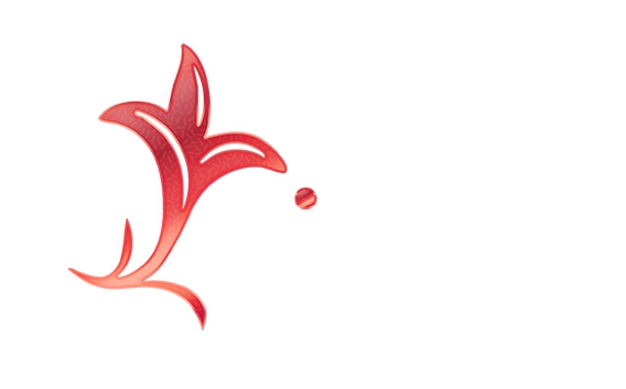 lily99-th.net